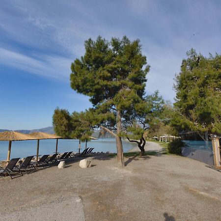 Kalafatis Beach Home Itea Buitenkant foto