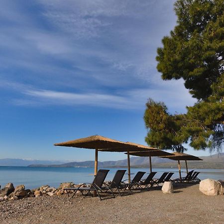 Kalafatis Beach Home Itea Buitenkant foto